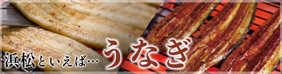 うなぎギフト