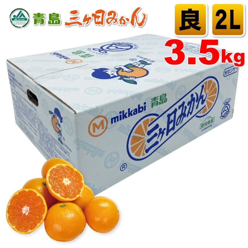 三ヶ日青島みかん 良品 2Lサイズ 3.5kg