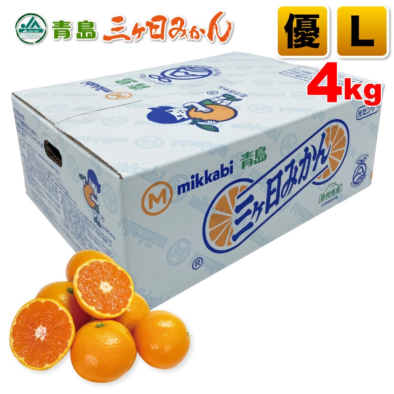 三ヶ日青島みかん 優品 Lサイズ 4kg