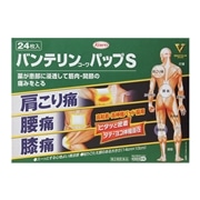 【第2類医薬品】 興和 バンテリンコーワ パップS 24枚 【セルフメディケーション税制対象商品】