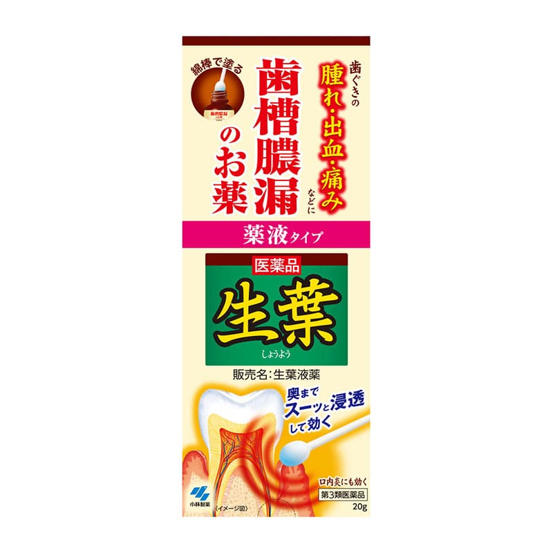 【第3類医薬品】 小林製薬 生葉液薬 20g