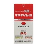 【第2類医薬品】 日本臓器製薬 マスチゲン錠 60錠
