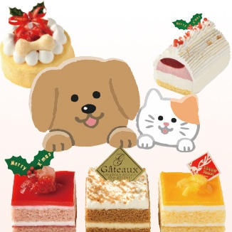 愛犬・愛猫用ケーキ