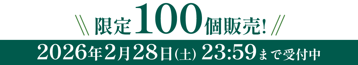 限定100個販売 2026年2月28日まで受付中
