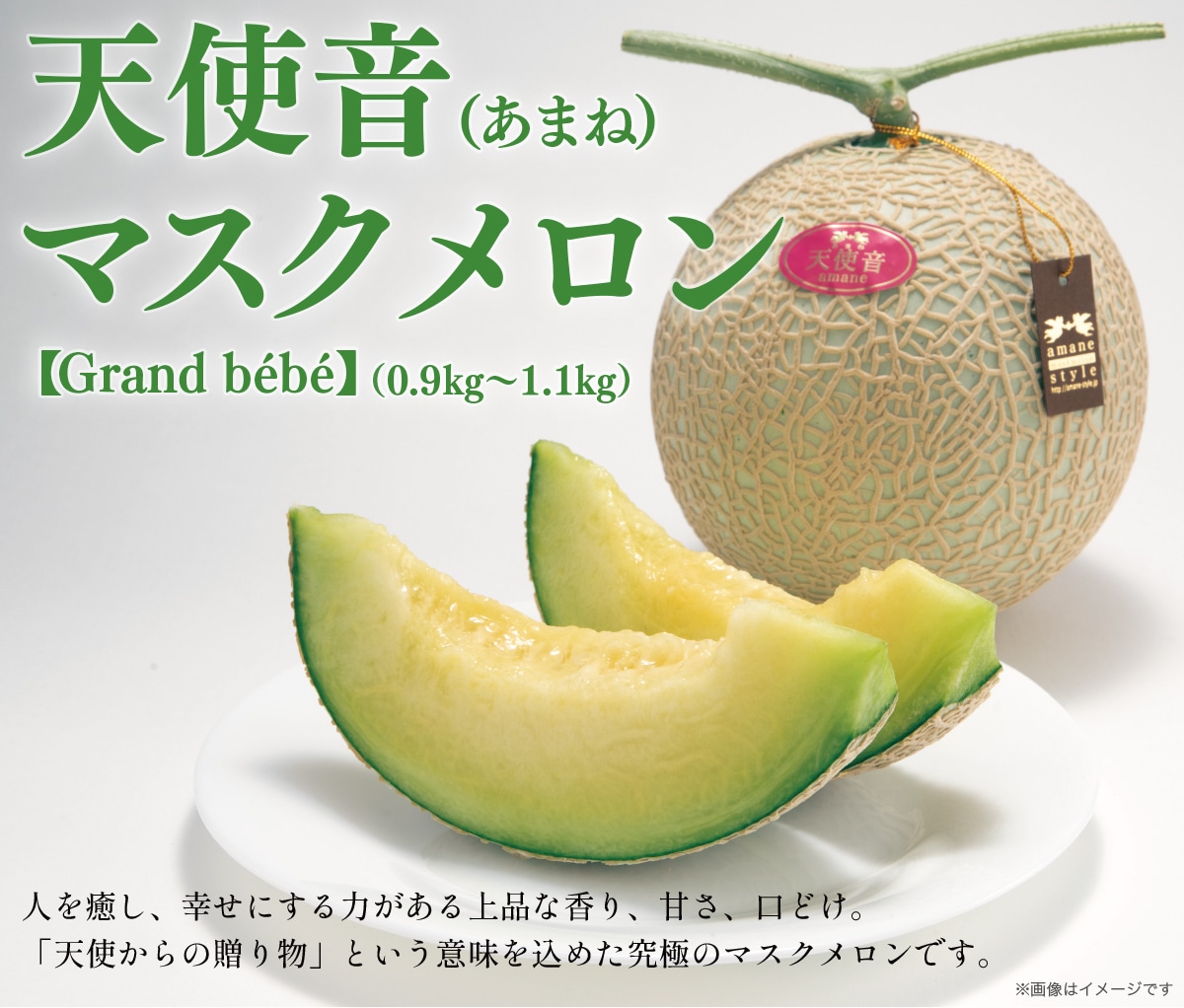 ヒノン農業 天使音（あまね）マスクメロン【Grand bebe】