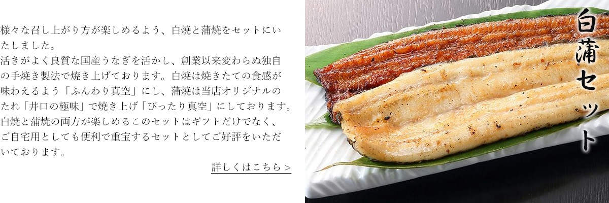 白蒲セット