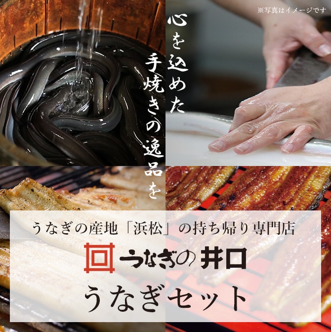 うなぎの井口 うなぎセット