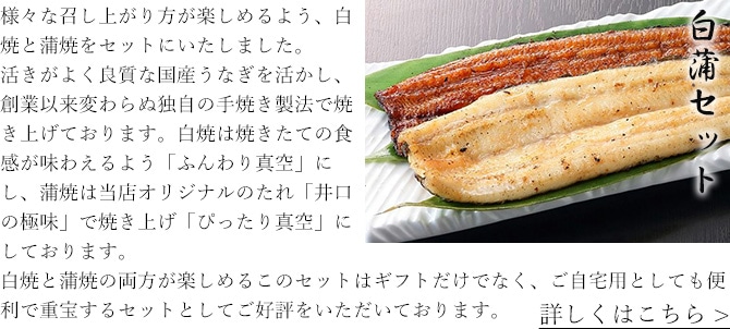 白蒲セット
