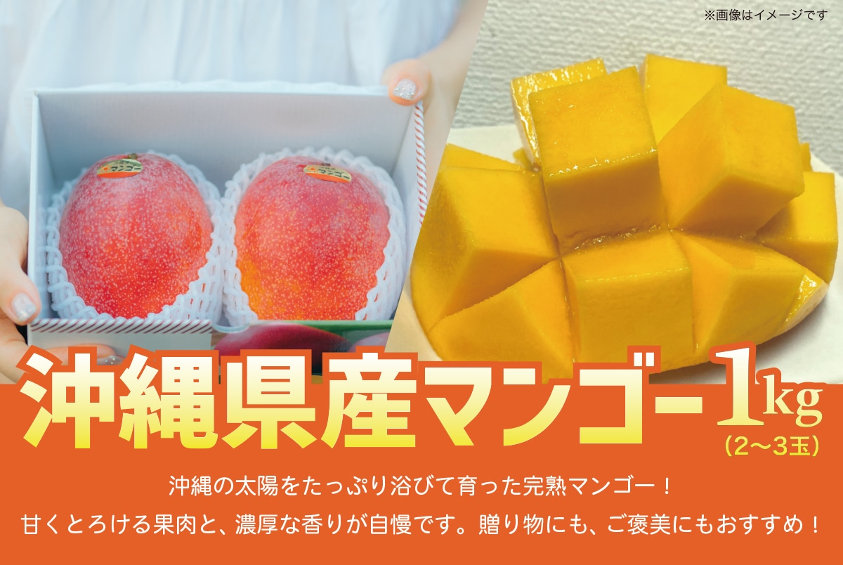 沖縄県産マンゴー 1kg（2～3玉）