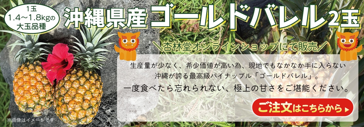 沖縄県産ゴールドバレル 2玉